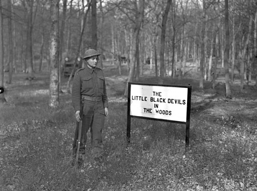 archives rwr lbd in the woods.jpg