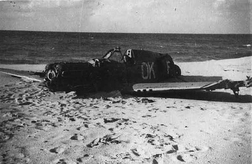 p40.jpg