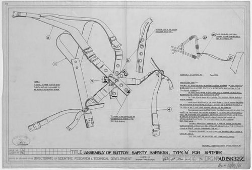 s%20harness.jpg