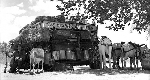 hay power, cheap mobile snacks and fuel.jpg