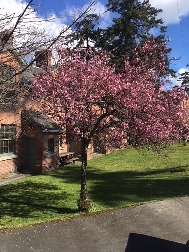 Petite maison de briques de la Base d'Esquimalt.JPG