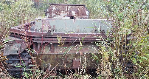 long grass storage pic.jpg