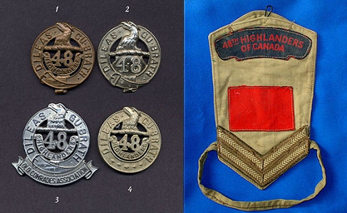48th badges & regimental flashes.jpg