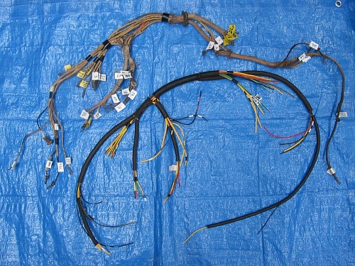 main harness.JPG