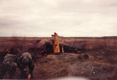 panther on Matawa Plain 1991 1.jpg