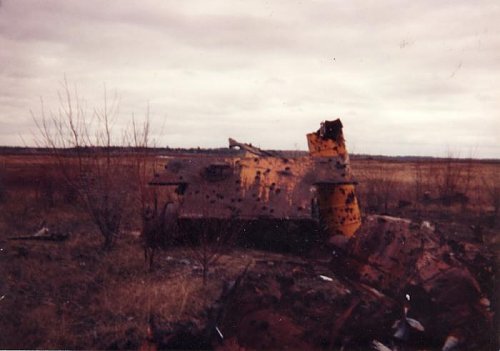 panther on Matawa Plain 1991 2.jpg