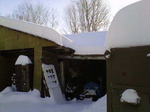 shed1.jpg